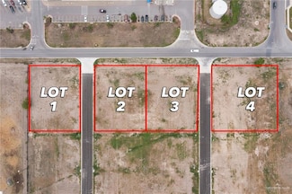 300 Mile 16 N, Elsa, TX 78538