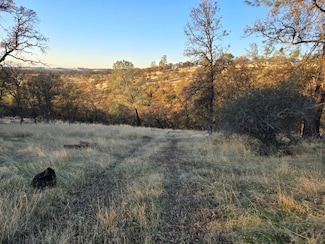 0 Avacado Rd Unit 225132286, Bangor, CA 95914