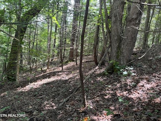 0 Cove Hollow Rd, Cosby, TN 37722