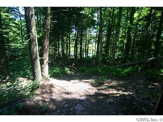 Lot 9 Co Rt 23, Constantia, NY 13044