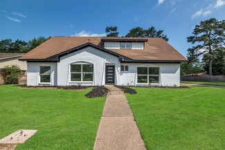 9602 Ballin David Dr, Spring, TX 77379