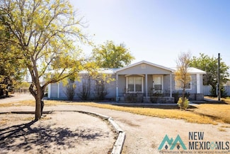 1105 Wilson Rd, Carlsbad, NM 88220