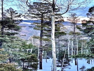 Lot 75 Via de Maria, Angel Fire, NM 87710