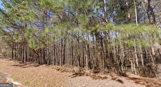 40 Wildcat Creek Dr, Covington, GA 30016