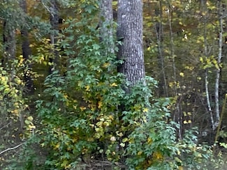 80 San Juan Way, Hot Springs Village, AR 71909