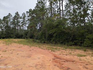 0 Deshutes Dr, Alford, FL 32420