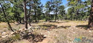 TBD Cien Fuegos, Grants, NM 87020