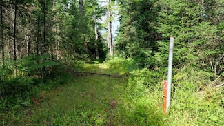 0 State Highway 141, Niagara, WI 54151