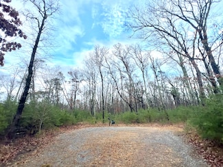 H64 Tatum Mining Rd, Menlo, GA 30731