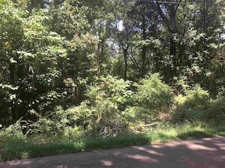 9270 Old Brownsville Rd, Arlington, TN 38002