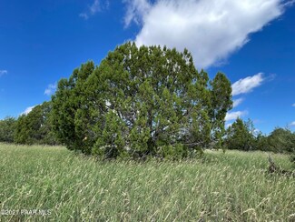 3159 W Shawn Way, Ash Fork, AZ 86320