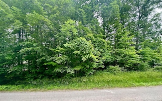 7326 St Rt 19 Unit 10 Lot 46&47, Mount Gilead, OH 43338