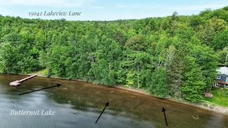 15042 Lakeview Rd, Three Lakes, WI 54562