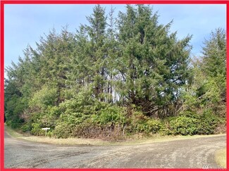 0 Ocean Way, Copalis Beach, WA 98535