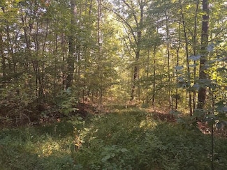 218 Dusty Rd, Morehead, KY 40351