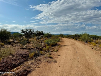 15932 W Bolo Place Unit 250, Tucson, AZ 85736