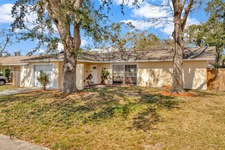 5205 Landsman Ave, Tampa, FL 33625