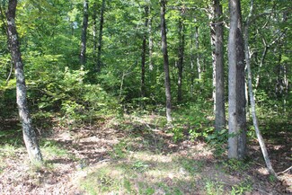 0 6 Ridge Rd, Mountain View, AR 72560