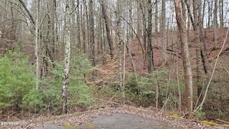 Lot 13 Peace Ln, Sevierville, TN 37876