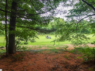 000-Unit 35 Trailside Cir N, Weldon Township, MI 49683