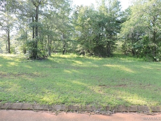 Lot 16B White Oak Way, Greenville, AL 36037