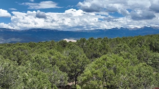 0 Ponderosa Dr Unit 42590, Ridgway, CO 81432