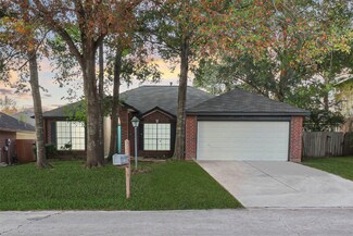 12058 La Salle Branch, Conroe, TX 77304