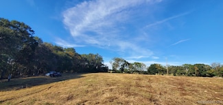 0 County Road 3319 Unit LOT 6 550464, Brundidge, AL 36010