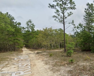 414 Rustic Rd, Satsuma, FL 32189