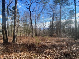 00 Bluff View #558 Dr W, Dunlap, TN 37327