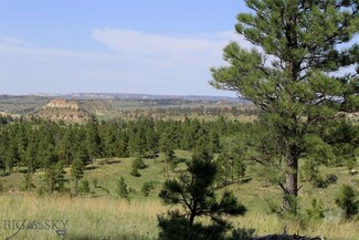 tbd Cherry Creek Rd, Forsyth, MT 59327