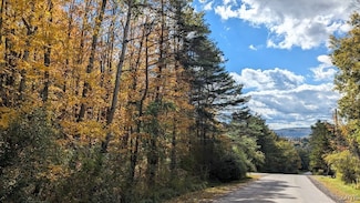 0 Johnny Cake Hill Rd Unit S1570699, Madison, NY 13402