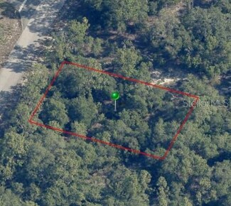9541 N Wallace Way, Citrus Springs, FL 34433