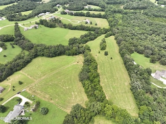 0 Meadow Ridge Rd Unit 10070849, California, MO 65018