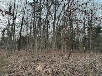 0 Holt Rd Unit A MAR24076710, Bland, MO 65014