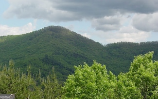 #19 Scenic Views, Hiawassee, GA 30546