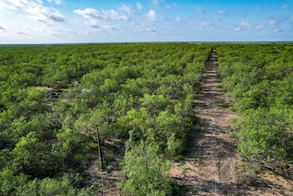 Tbd Fm 582, Crystal City, TX 78839