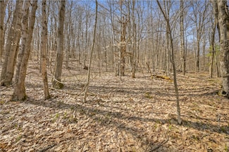L9.114 Lutheranville Rd, East Worcester, NY 12064