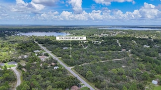 3156 Forget-Me-not Ave, Lake Placid, FL 33852