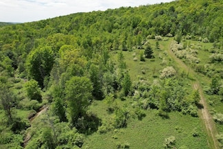 Mallory Road Lot Unit WP001, Chemung, NY 14825