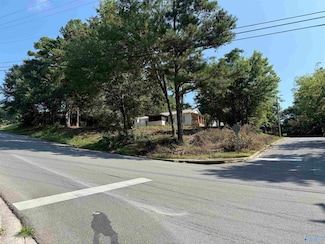 Lot 34 Rayburn Ave, Guntersville, AL 35976