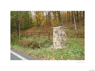 VL Irish Rd, Colden, NY 14033