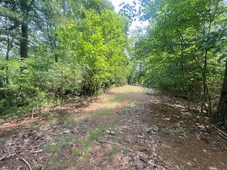 Lot 29 Tessentee Woods Rd, Franklin, NC 28734