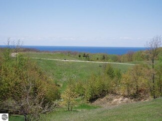 0 Norman Rd Unit 1795147, Arcadia, MI 49613