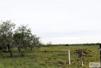 00 Paredes Line Rd, Brownsville, TX 78526