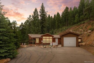 312 Brookside Dr, Bailey, CO 80421
