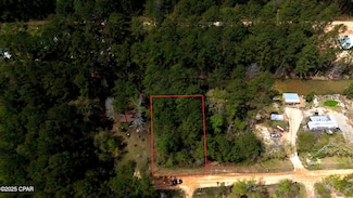 00 Shelby Ln, Westville, FL 32464