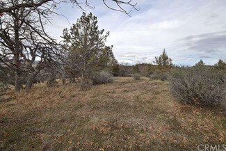0 Lot 674 Corner of Lemming Ln & Clark Rd Unit CH16024331, Hornbrook, CA 96044
