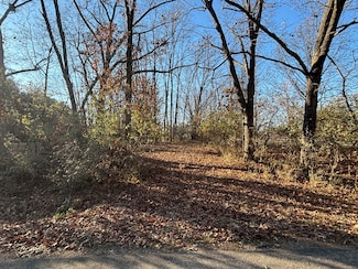 617 Brookside Dr, Hopewell Township, IL 61375