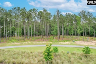 153 Stewart Landing Dr, Prosperity, SC 29127